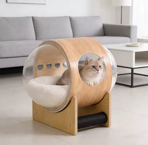 Rabatt the cat life - 50,